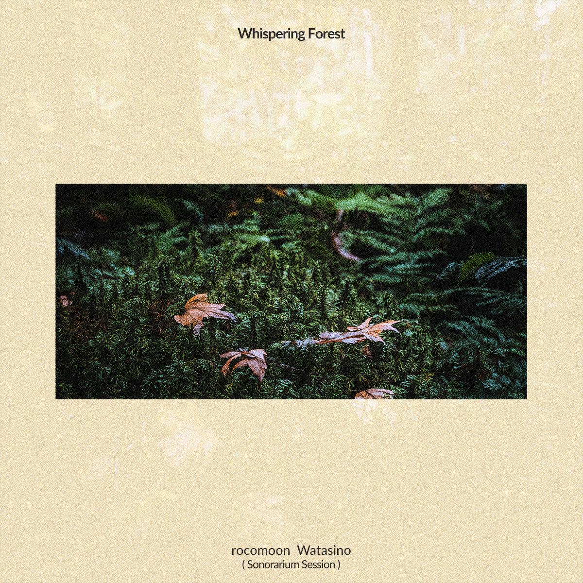 Whispering Forest (Sonorarium Session) feat. rocomoon ジャケットアート